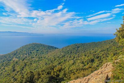 Vue Mer Ajaccio Balade Des Anglais - 09/05/2013