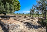 Site archéologique Mariana à Lucciana, le 01/01/1970