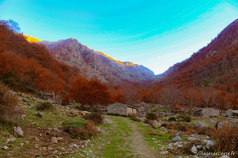 Bergeries Capiaghja in Bocognano, 25/11/2012