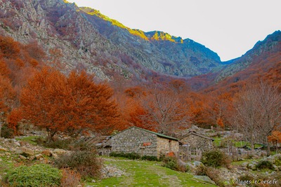 Bergeries Capiaghja in Bocognano, 25/11/2012