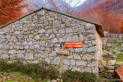 Caseddu Bergeries de Capiaghja Bocognano - 25/11/2012