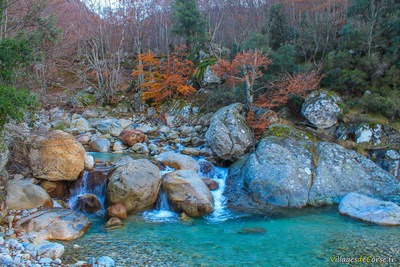 Rivière Gravona à Bocognano, le 25/11/2012