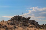 Mount Aragnascu at Cuttoli Corticchiato, 01/09/2013