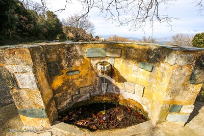 Brunnen Saint Michel in Murato am 26/02/2019