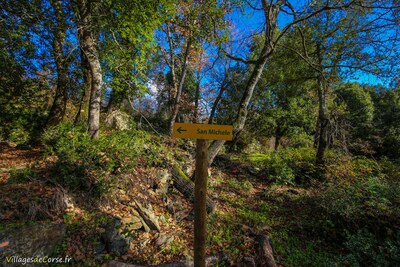 Murato Saint Michel Wanderweg - 30/12/2020