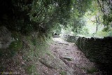 Sentier Pieve Haut Nebbiu - 30/10/2019