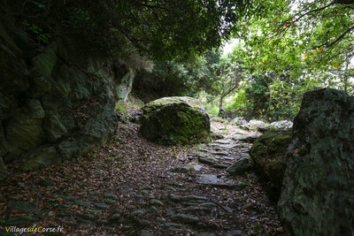 Sentier Randonnee Corse Pieve - 30/10/2019