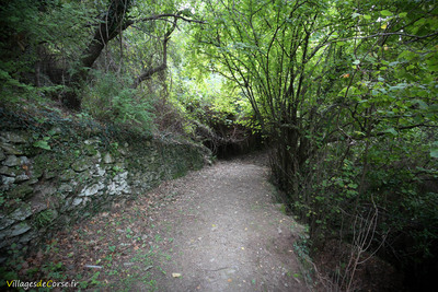 Sentier Randonnee Nebbiu Pieve - 30/10/2019