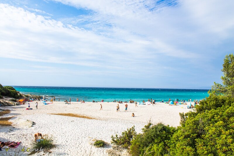 Plage Saleccia à Santo Pietro di Tenda, le 13/08/2014