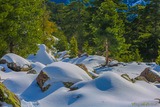 Montagne Corse Neige Albertacce - 29/01/2019