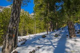 Randonnee Montagne Neige Corse Gr Bergerie U Vallone Refuge U Tihjettu Albertacce - 29/01/2019