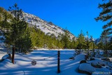 Randonnee Montagne Neige Corse Gr Bergerie U Vallone Refuge U Tihjettu Albertacce - 29/01/2019