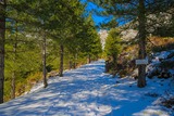 Randonnee Neige Corse Bergeries U Ballone Albertacce - 29/01/2019