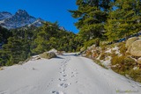 Randonnee Neige Corse Bergeries U Vallone Albertacce - 29/01/2019