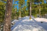 Wanderweg Albertacce Bergerie U Ballone Sous la Neige - 29/01/2019