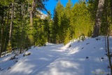 Wanderweg Albertacce Bergerie U Ballone Sous la Neige - 29/01/2019