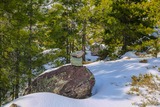 Wanderweg Albertacce Bergerie U Ballone Sous la Neige - 29/01/2019