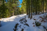 Sentier Sous la Neige Randonnee Calasima Albertacce - 29/01/2019