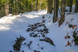 Sentier Sous la Neige Randonnee Calasima Albertacce - 29/01/2019