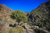 Scala Di Santa Regina Niolu hike - 16/02/2019