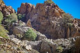 Hiking Scala Di Santa Regina Niolu Corsica - 16/02/2019