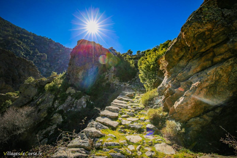 Scala Di Santa Regina Niolu hike - 16/02/2019