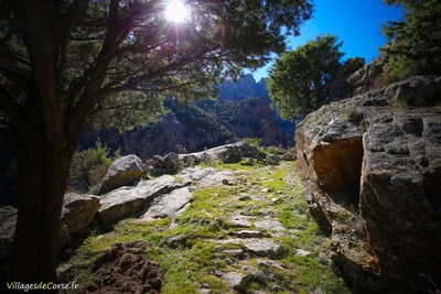 Randonnee Scala Di Santa Regina Niolu - 16/02/2019