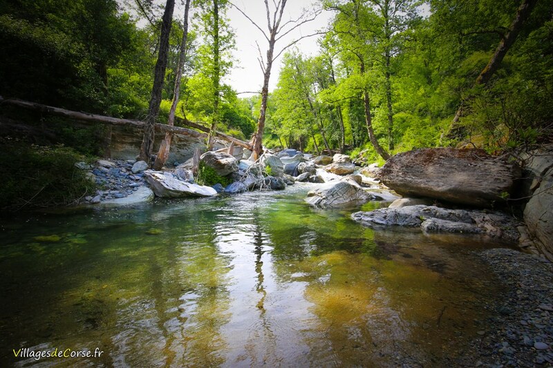 Bravona river at Zalana, 25/05/2019