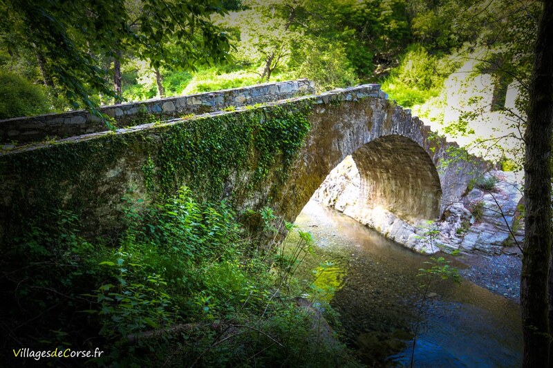 Alisu Genoa Bridge in Zalana, on 25/05/2019