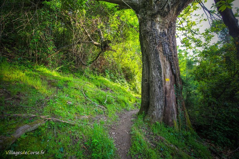 Zalana hiking trail - 25/05/2019