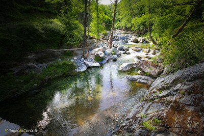 Bravona river at Zalana, 25/05/2019